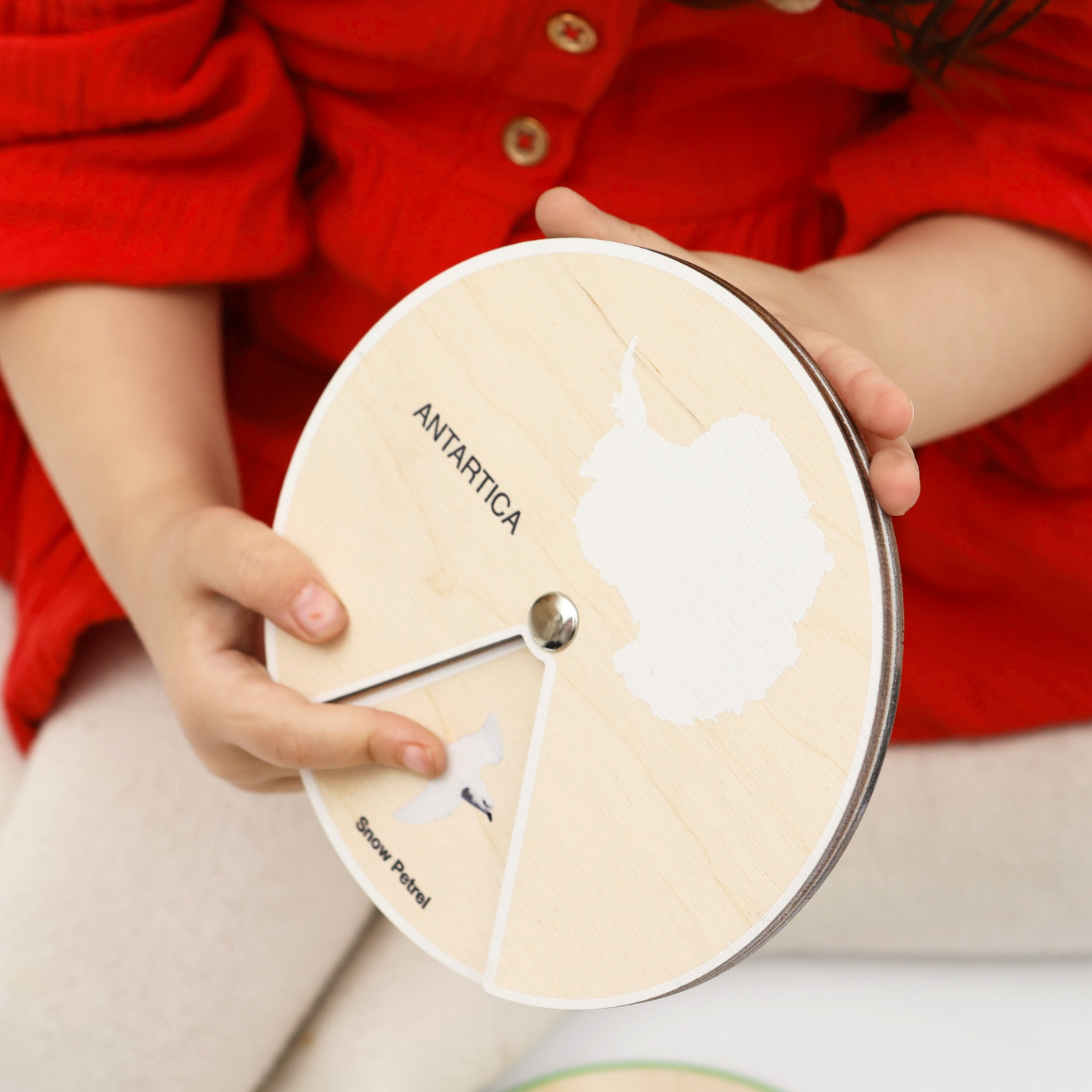 Animals of the World – Montessori Wooden Animal Wheels Set 7 Continents Ages 3+