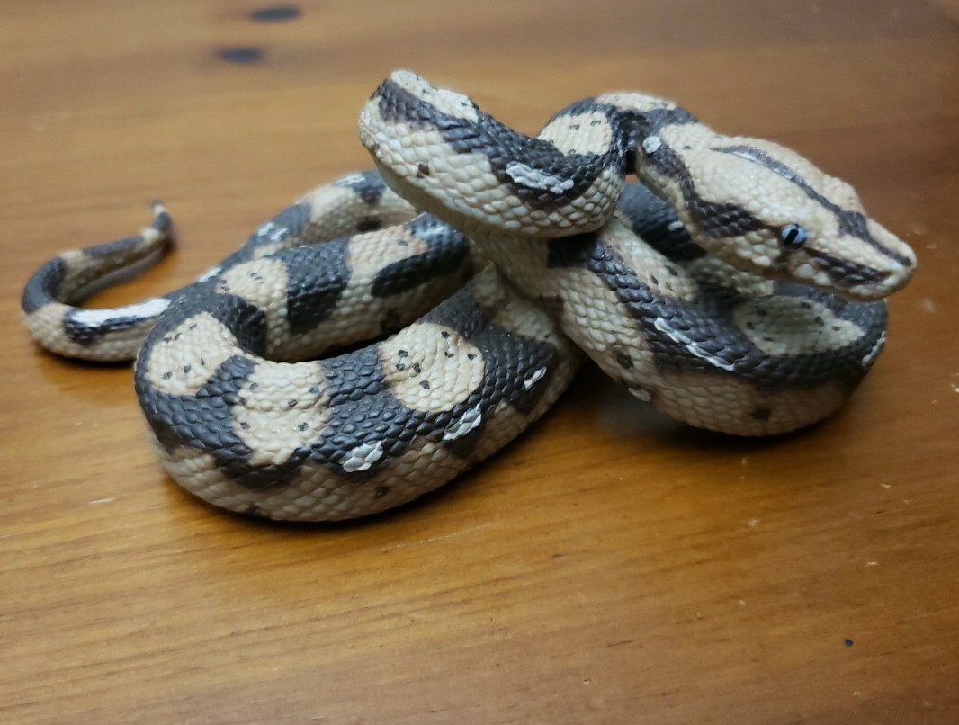 Boa Constrictor Python Realistic Toy Snake Education Prank Safari Ltd Animal Fig
