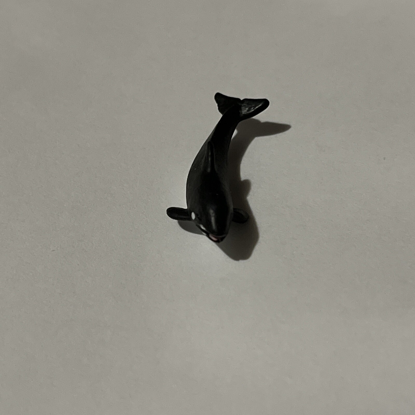 Single Safari Ltd. Good Luck Minis Orca / Killer Whale Figure 1”
