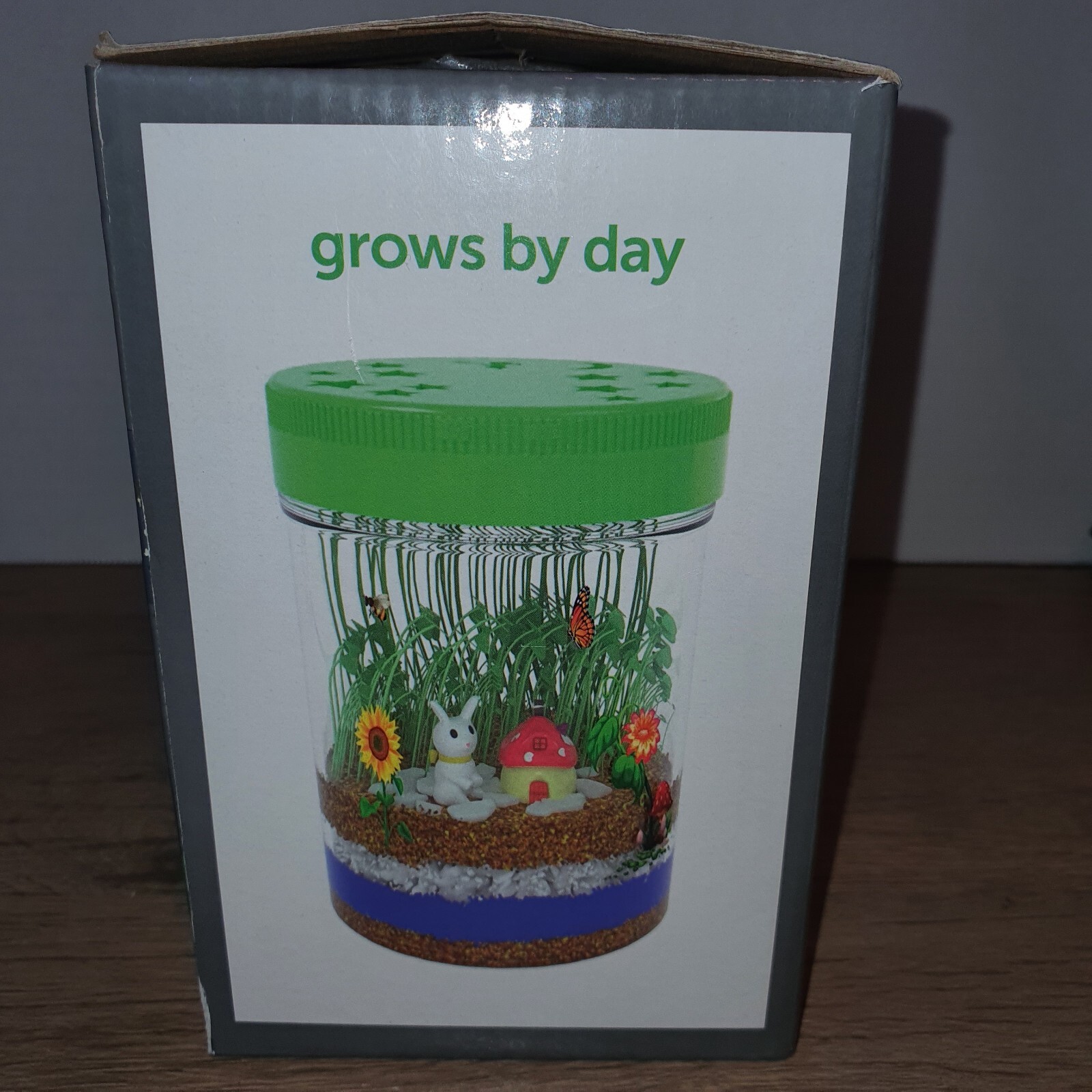 Light-Up Terrarium Kit for Kids – STEM Science Kits – Birthday Gifts for Kids…