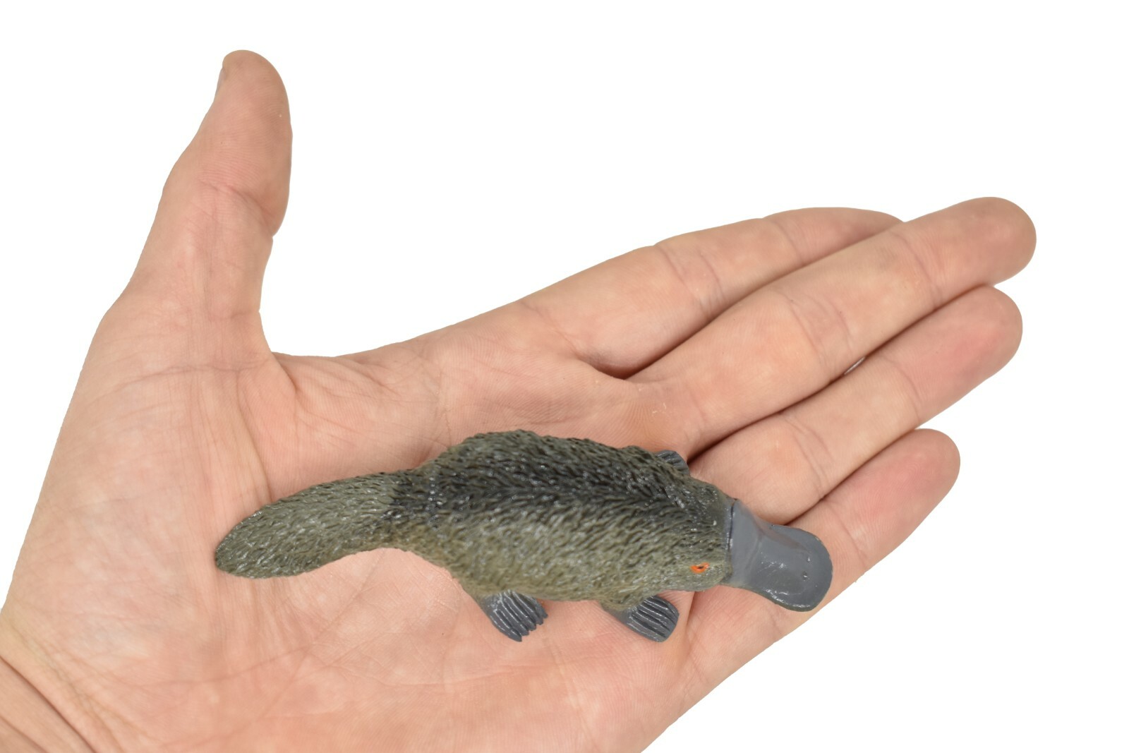 Platypus, Life Like Plastic Replica 4 inches long – F320 B111
