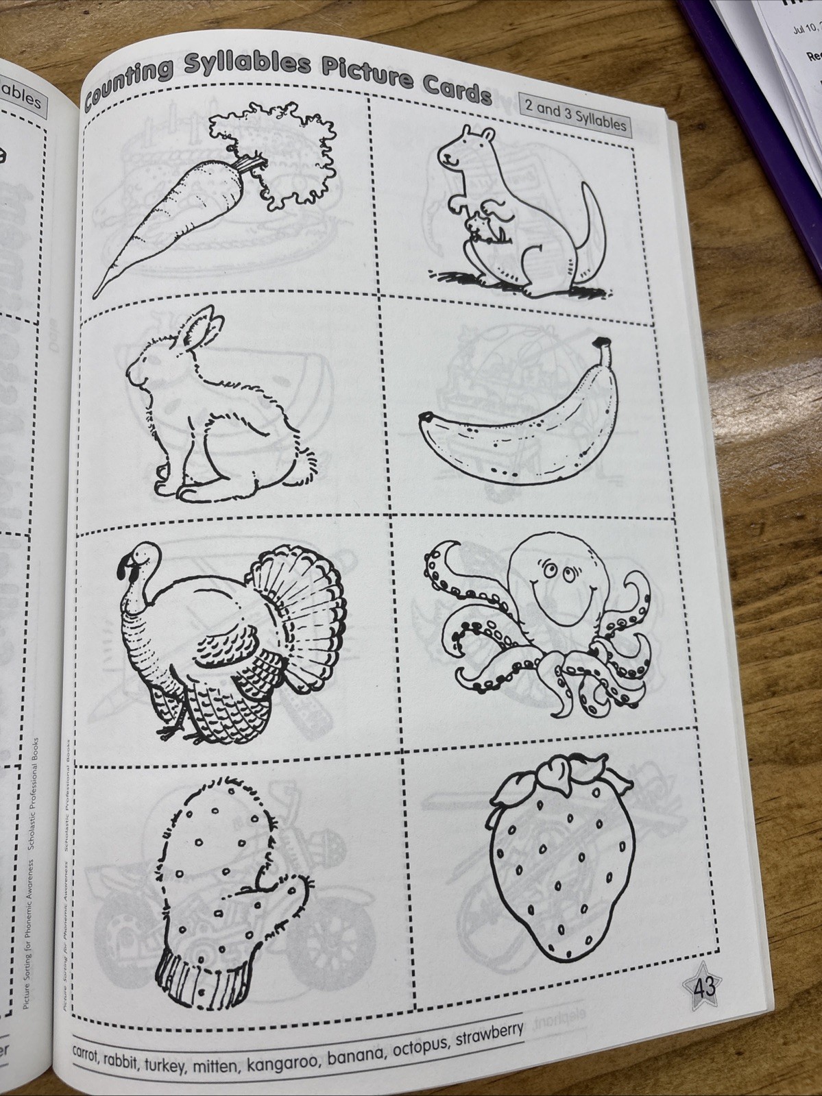 Picture Sorting For Phonemic Awareness, Grades Pre-K/K Scholastic Book