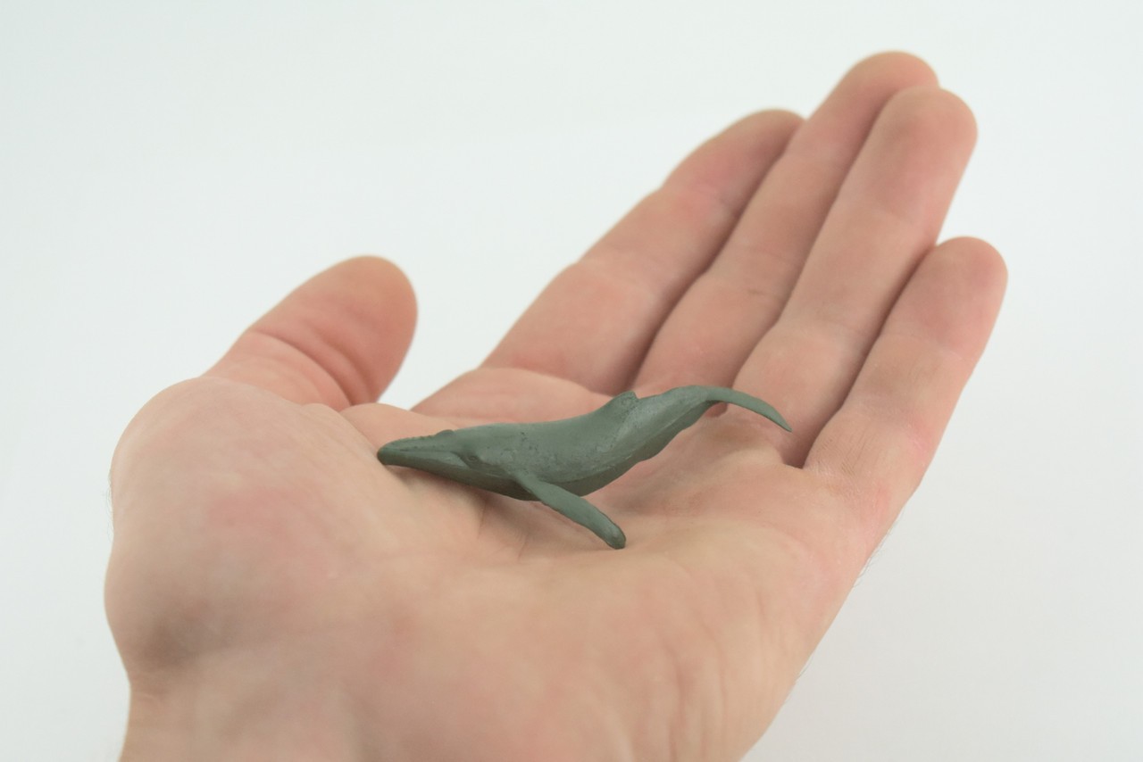 Toy Humpback Whale Green, Baleen Realistic Model, Gift, 2 1/2 Inches CWG56 B197