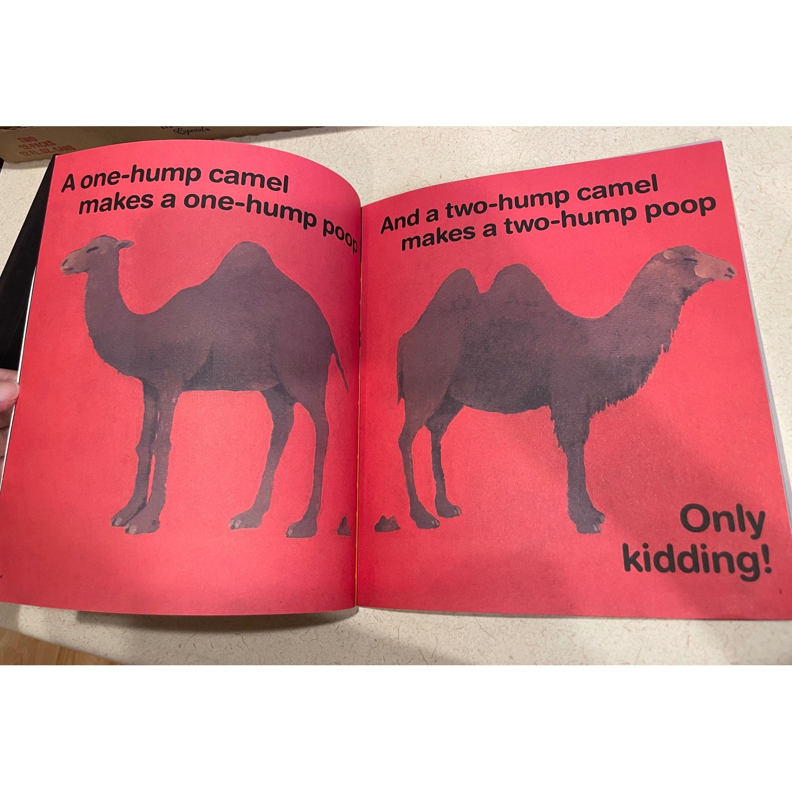 Everyone Poops Taro Gomi Children’s Book Potty Training Hardcover Humor Classic