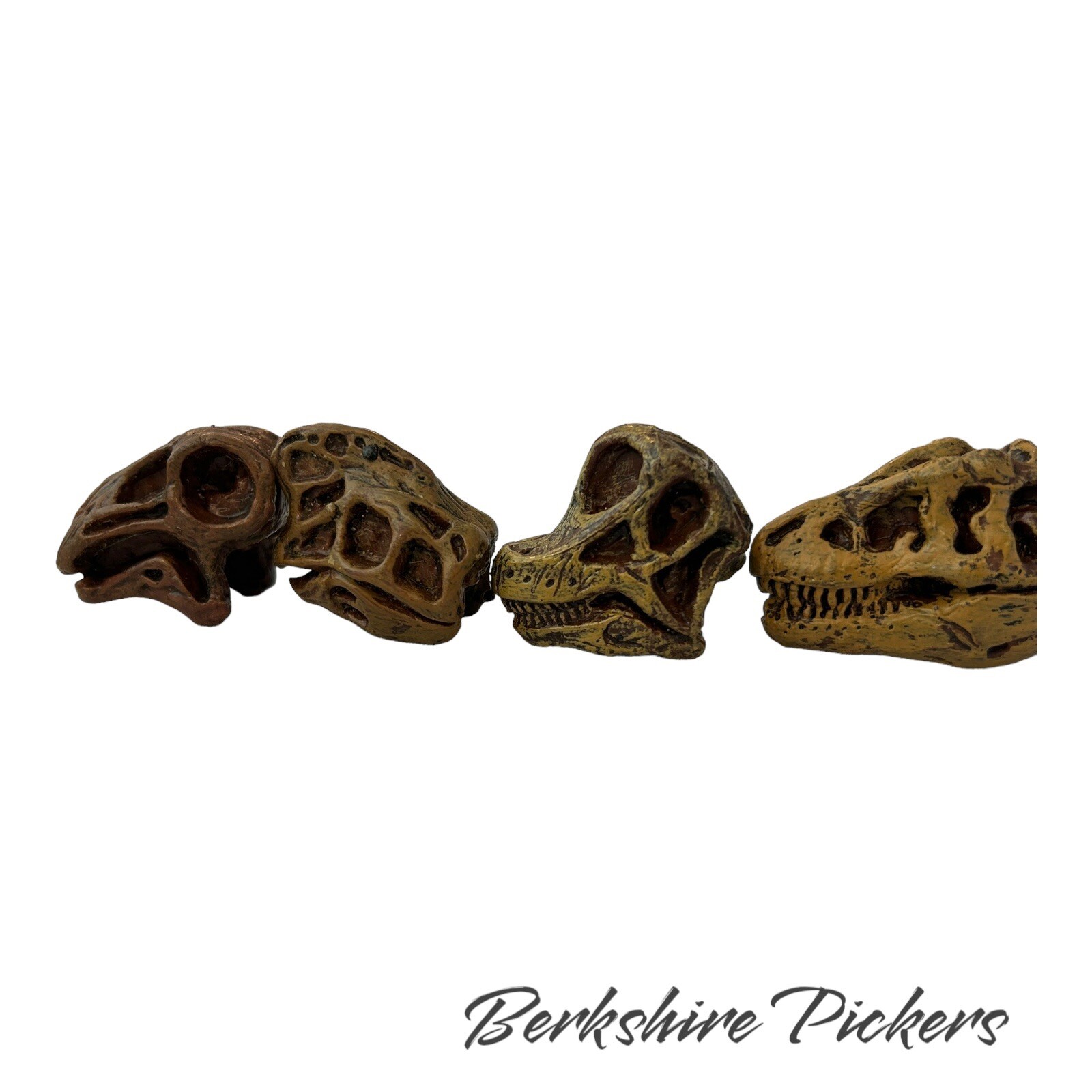 Safari Ltd Dinosaur Skull MINI Replica Lot Of 9