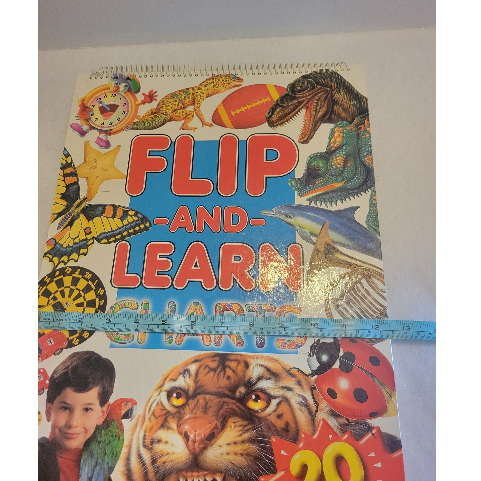 Tormont Flip and Learn Charts OS Multicolor 20 Educational Easel Charts 1998