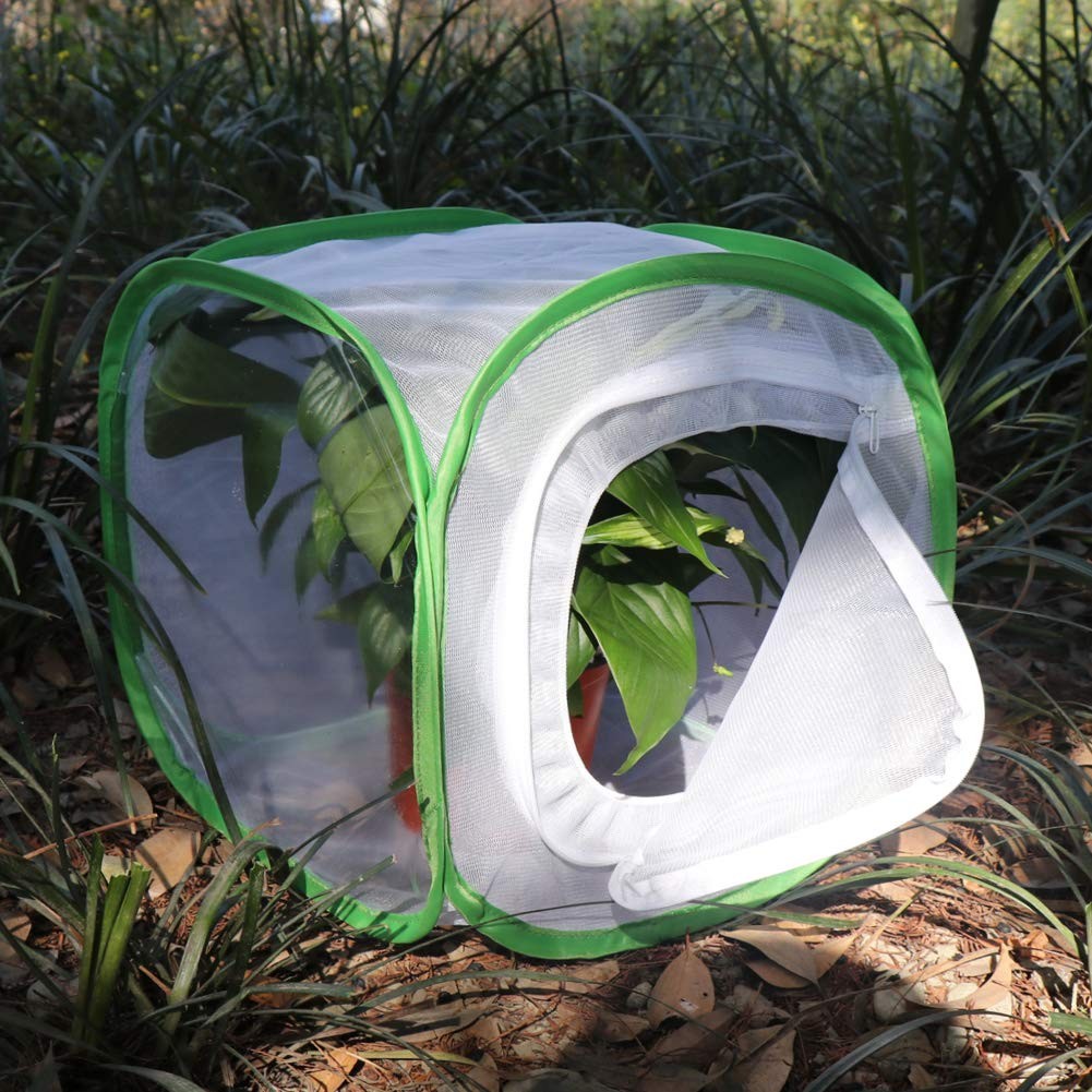 RESTCLOUD Insect and Butterfly Habitat 12 X 12 X 12 Inches, White with Green