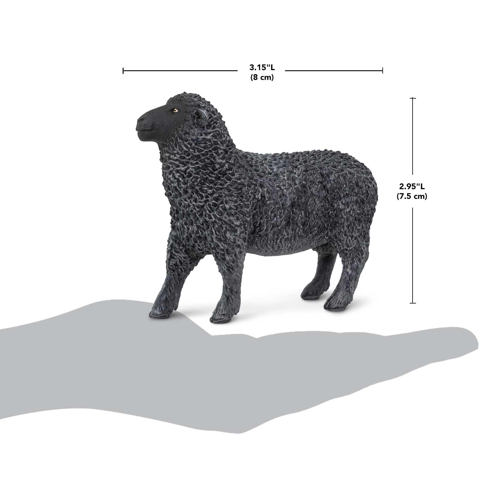 Black Sheep Figurine – Realistic, Hand-Painted 3.25″ Model Figure – Educational