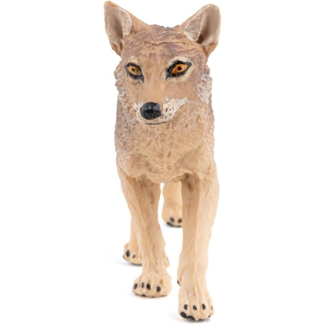 Jackal Figurine – Hand Painted Wild Animal Toy Figure – New Papo 50259