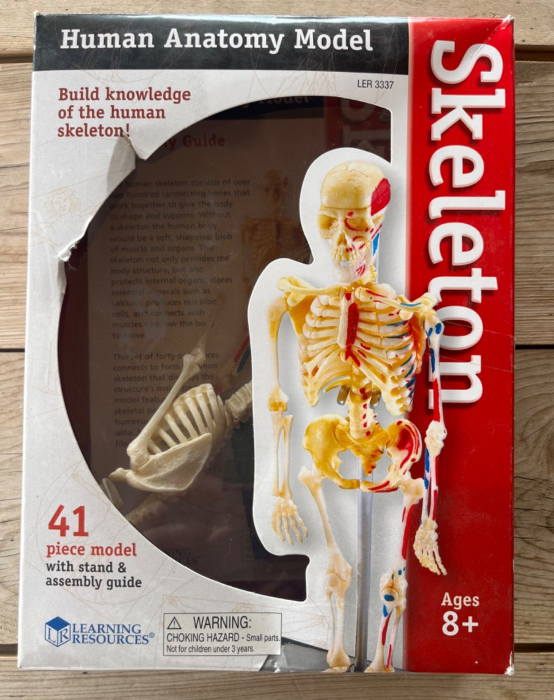 Human Anatomy Model Skeleton 41 Pieces Ages 8+ Learning Resources