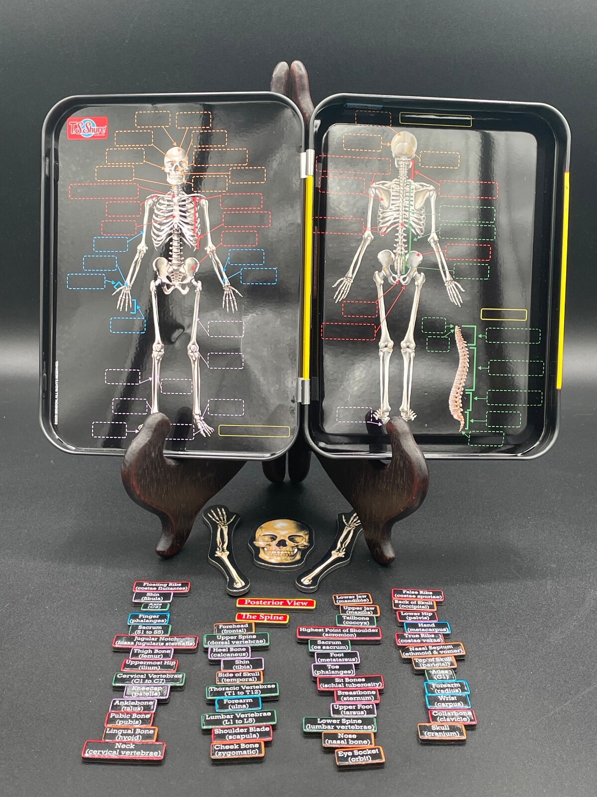 Magnetic Learning Activity S.T.E.M. Educational, Set of 3