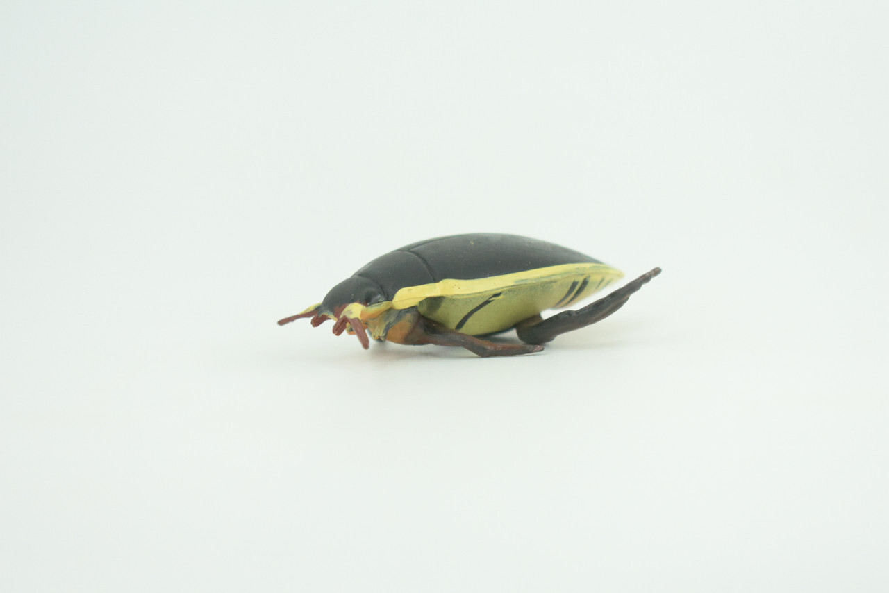 Yellow Edged Diving Beetle Toy Realistic Hand Painted Rubber 2.25″ CH857 BB198