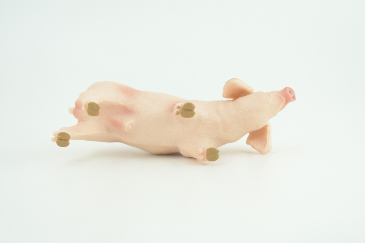 Toy Pig, Farm Animal, Realistic Hand Painted Rubber Model, 4 Inches CH975 BB213