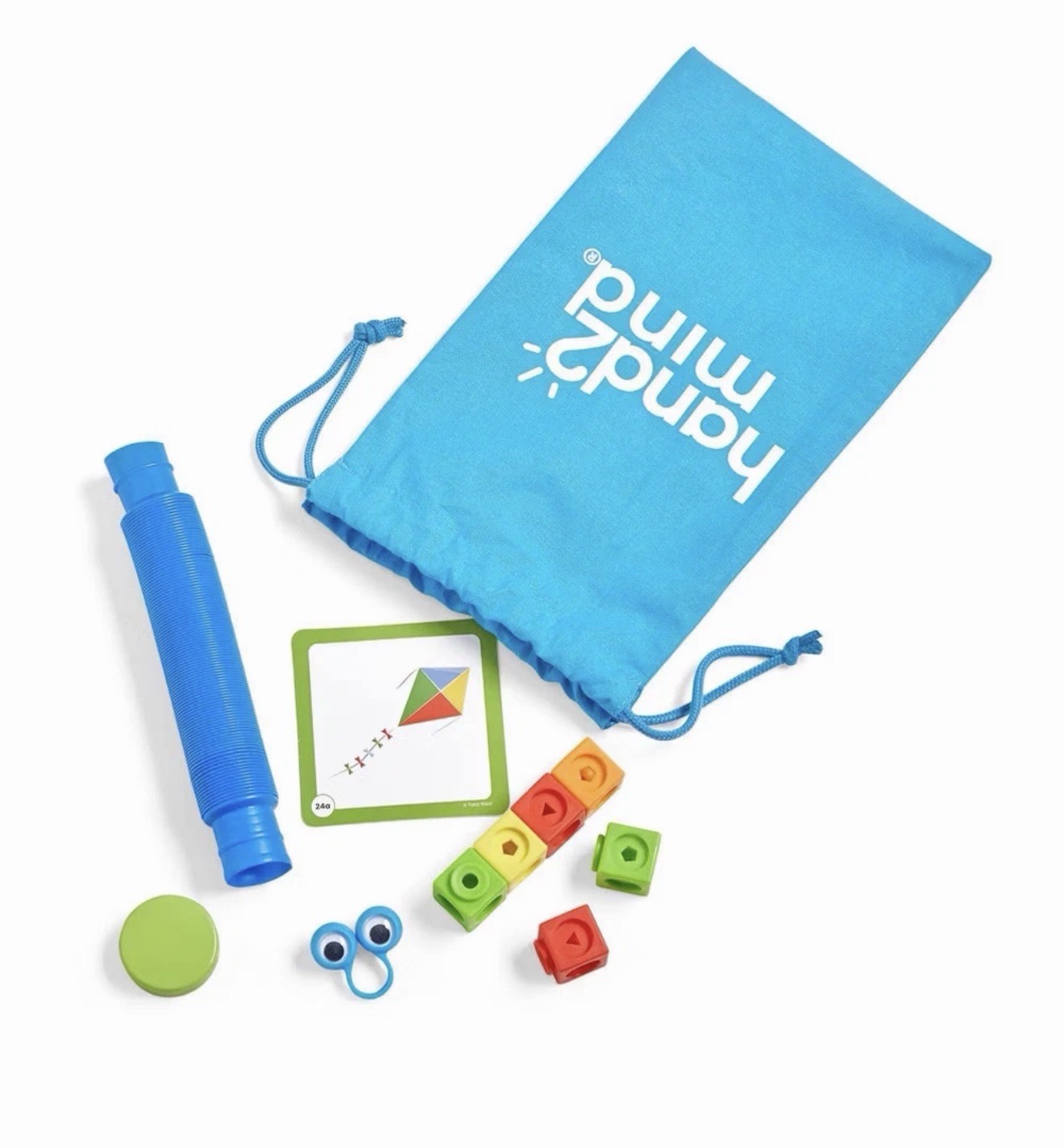 Hand2Mind Little Minds at Work Science Reading Kindergarten Activity Guide Kit