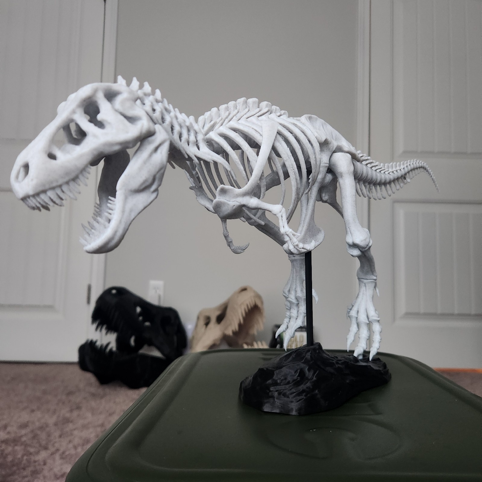 Trex Full Skeleton “Bone white” Assembly Kit