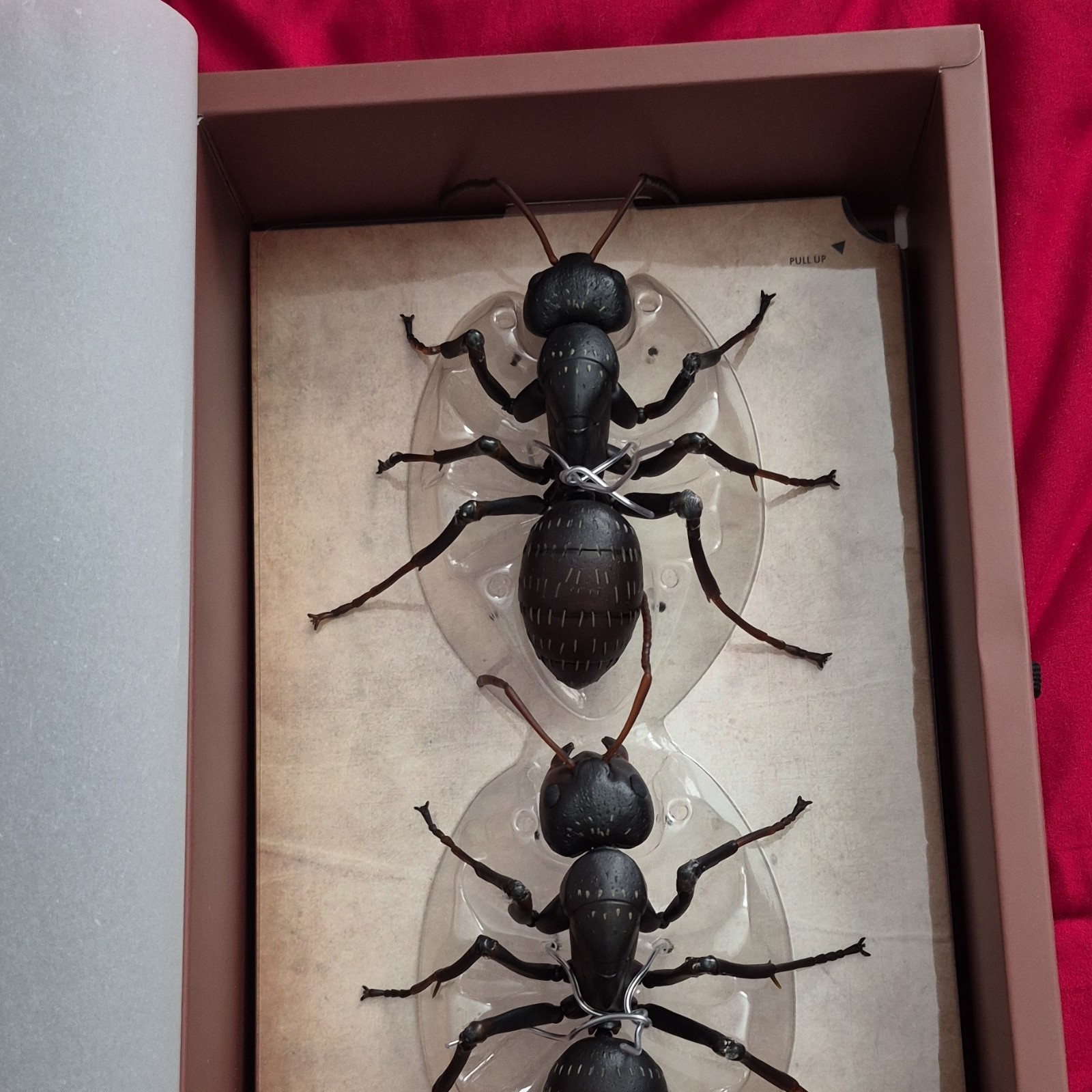 Kaiyodo RevoGeo Ant Figure Model Display Set RG001 2021 Age 8-11 Years