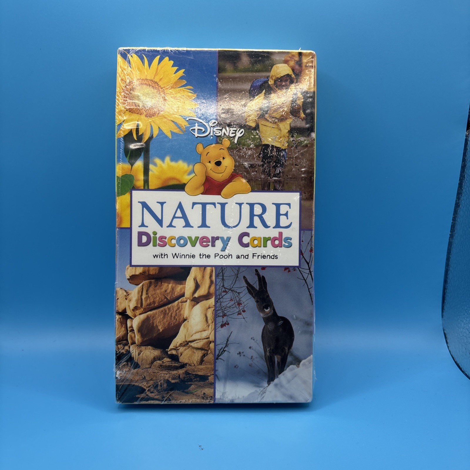 Disney Winnie the Pooh Nature Discovery Cards Flash Cards Sealed Disney Press