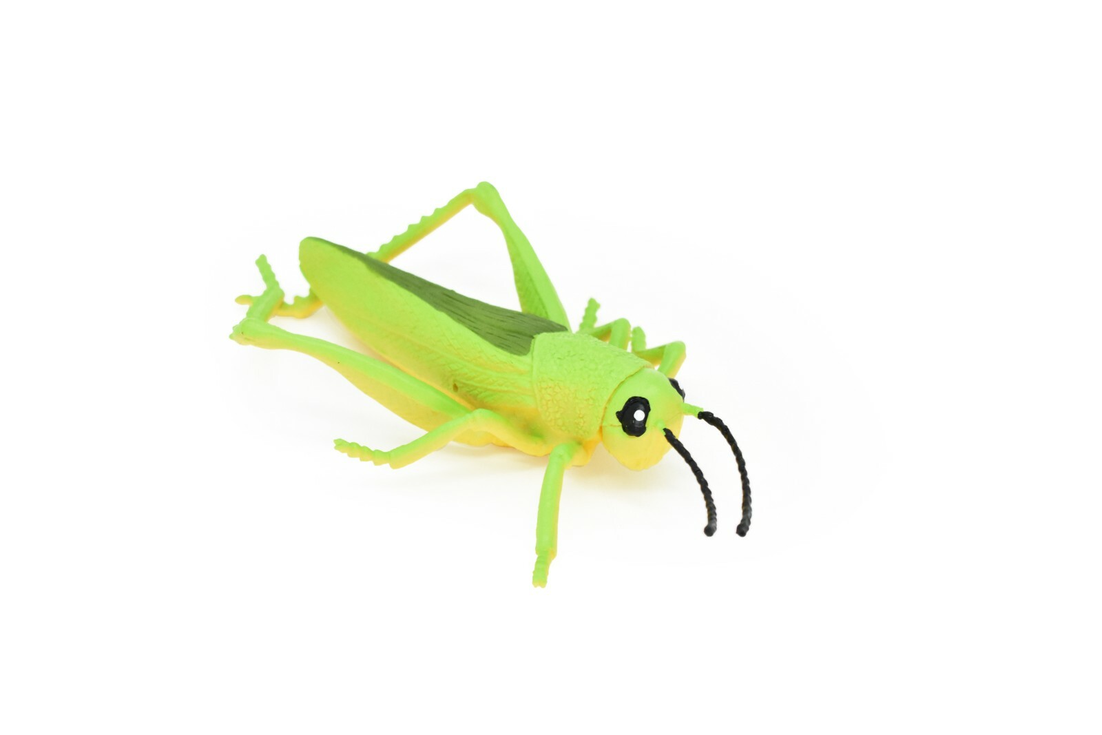 Grasshopper, Rubber Toy Insect, Realistic Figure, Model, Replica Kids 7″ F2059