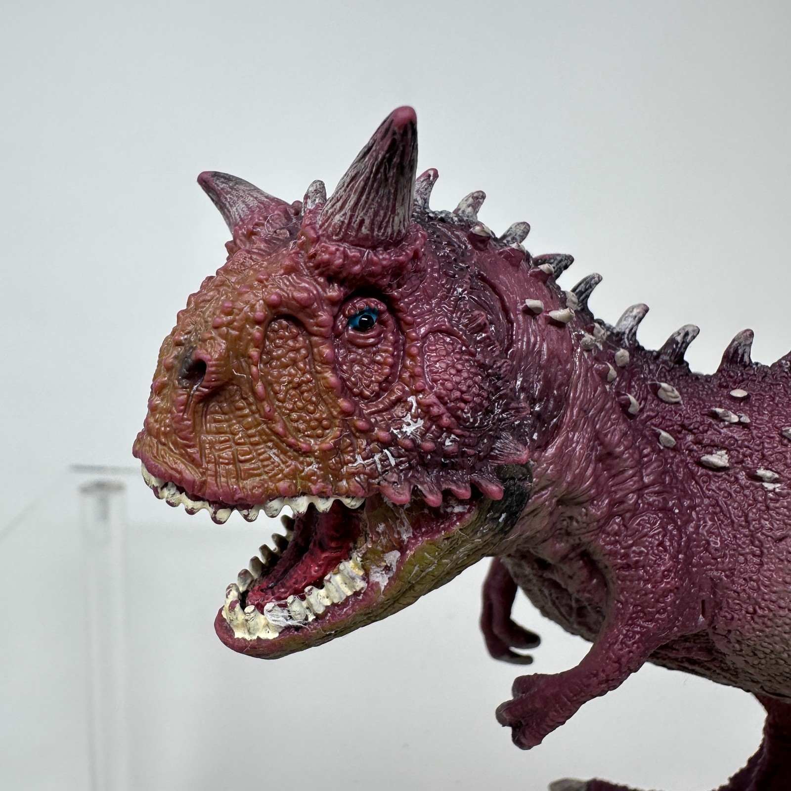Schleich Carnotaurus Figure Red Prehistoric Dinosaur Animal Figurine 2012 READ