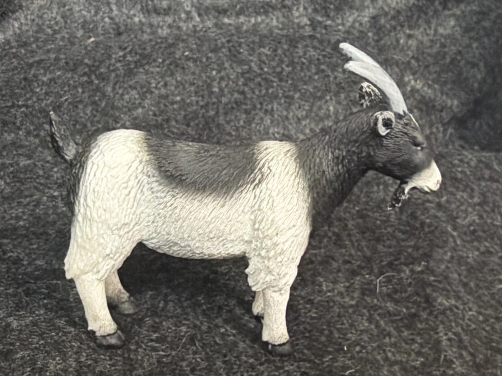 Mojo Billy Goat Figure Blk/ Wht Realistic Wildlife Farm Animal Figurine 4″ 2010