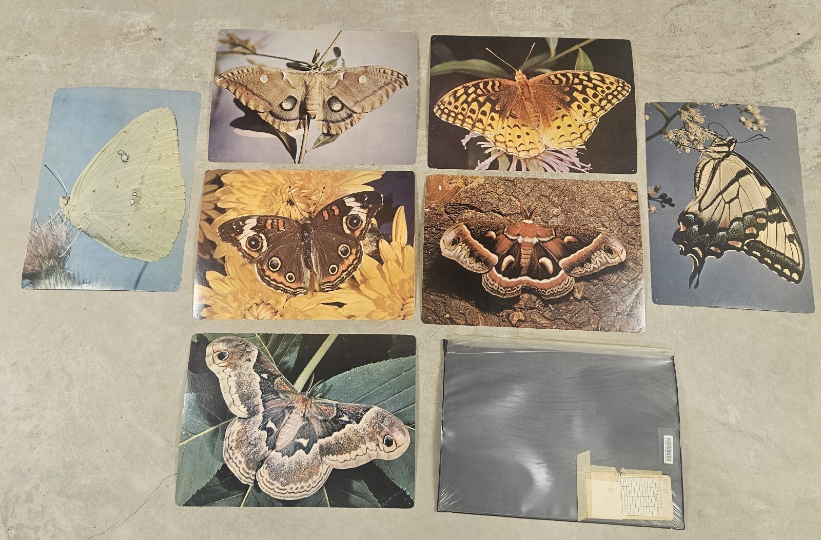 28 1960’s Educational Aids 18″x13″ Cards Erosion Fruit Farming Weather Butterfly
