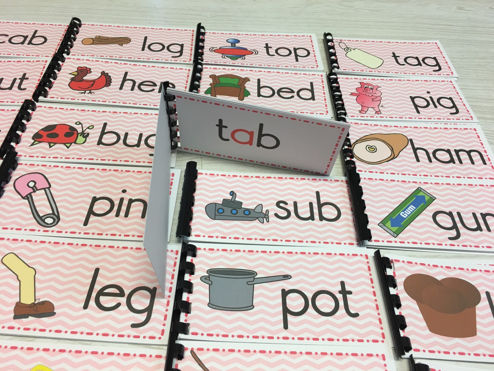 NEW Montessori Materials -The Pink Series – 24 CVC Word Families Booklets Pre-K