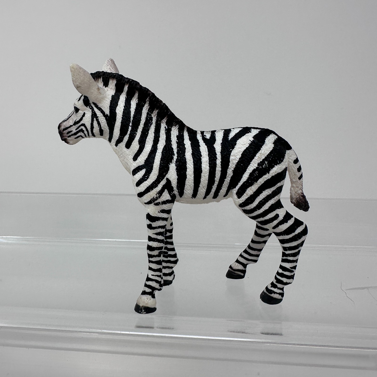Schleich Zebra Foal Figure Black White Striped Baby Horse Animal Figurine 3″