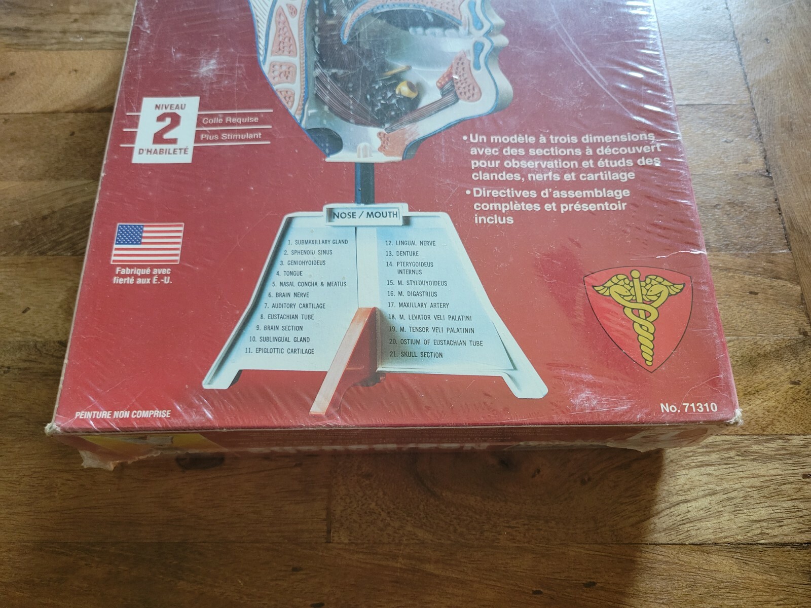 Lindberg Science Kits: Nose/Mouth Skill Level 2 New Unassembled Healthcare Model
