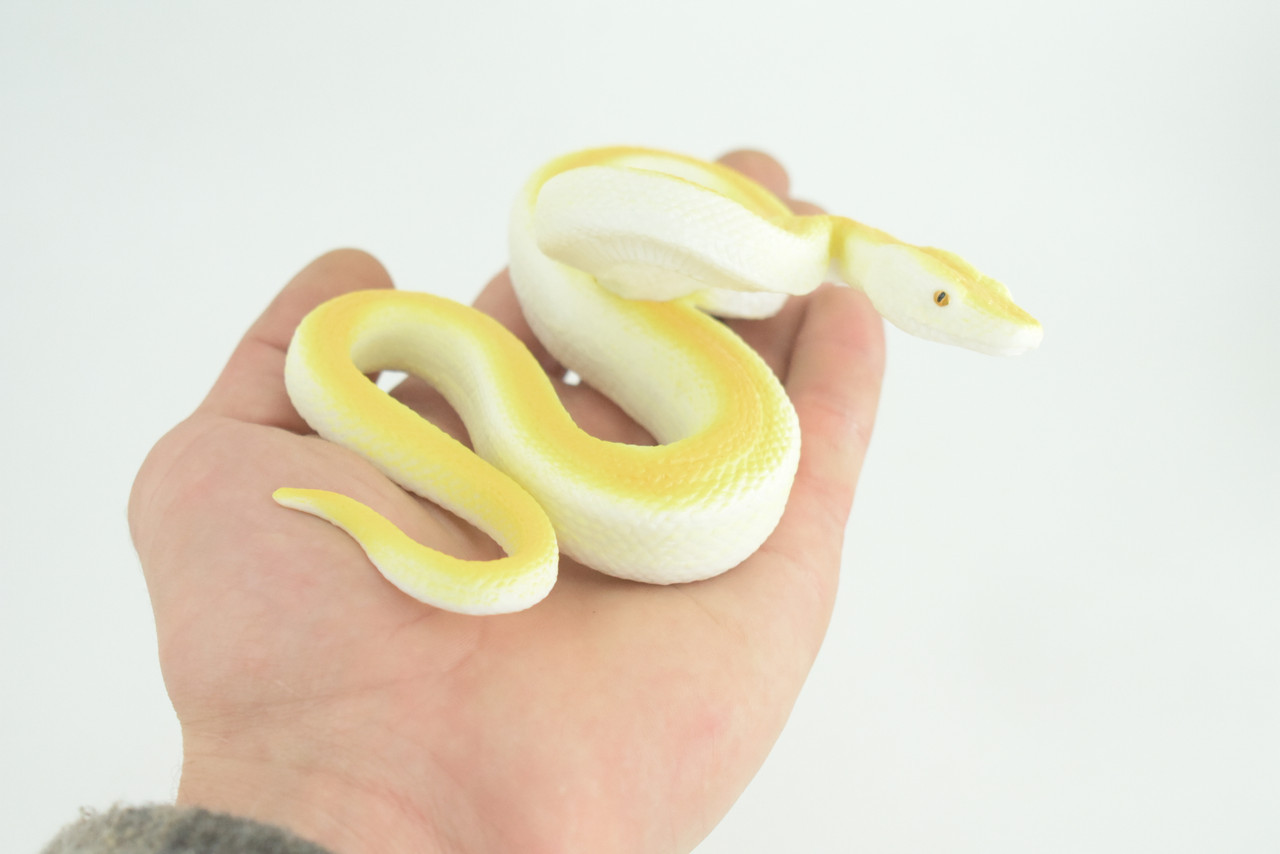Burmese Python Life Cycle, 4 Piece Set, Hand Painted Rubber Snake 6″ CH886 BB201