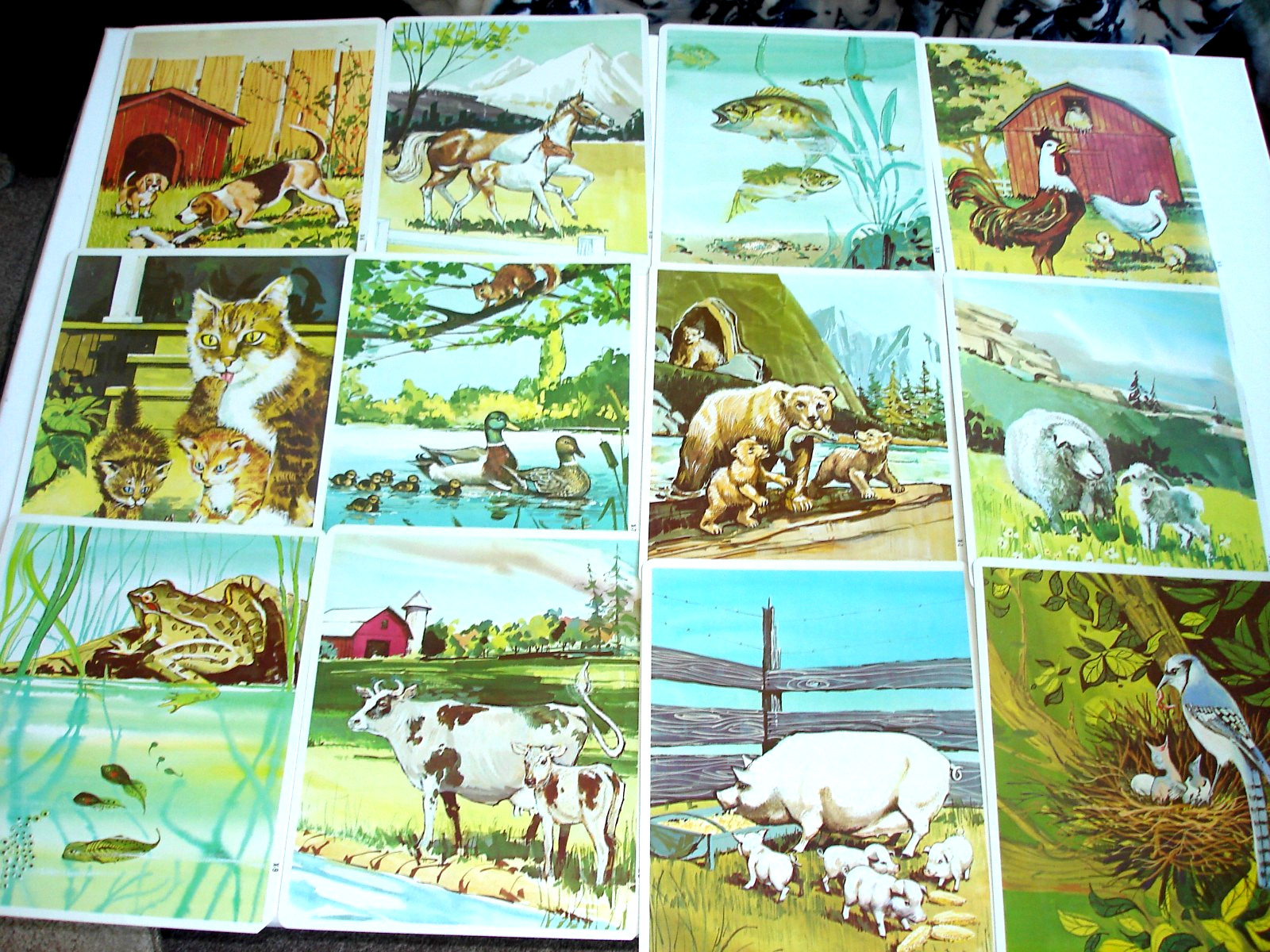 1968 Teacher’s Vintage Peek American Guidance Service Educational Picture Cards