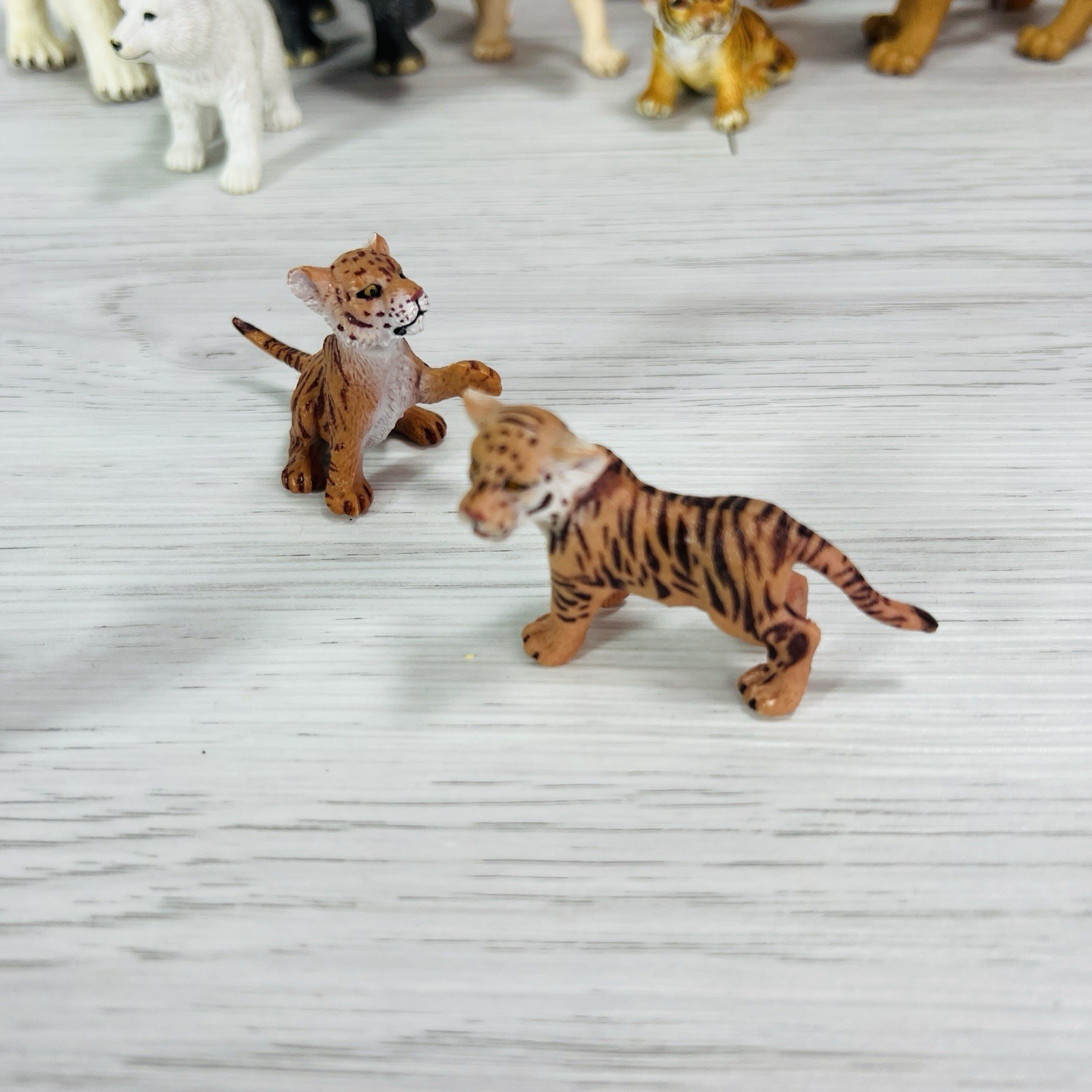 Safari Ltd Animal Lot Lion Lioness Toy Rhinoceros Polar Bear Tiger Lynx Baby Cub