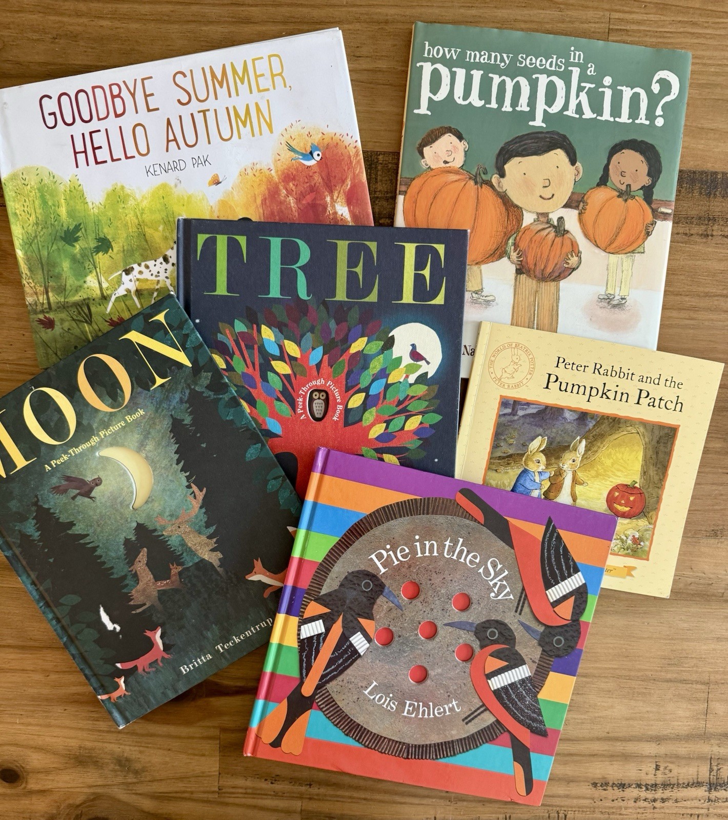 Autumn Fall Picture Book Sensory Bin Kit for Kids Bookish Play Imaginative Play