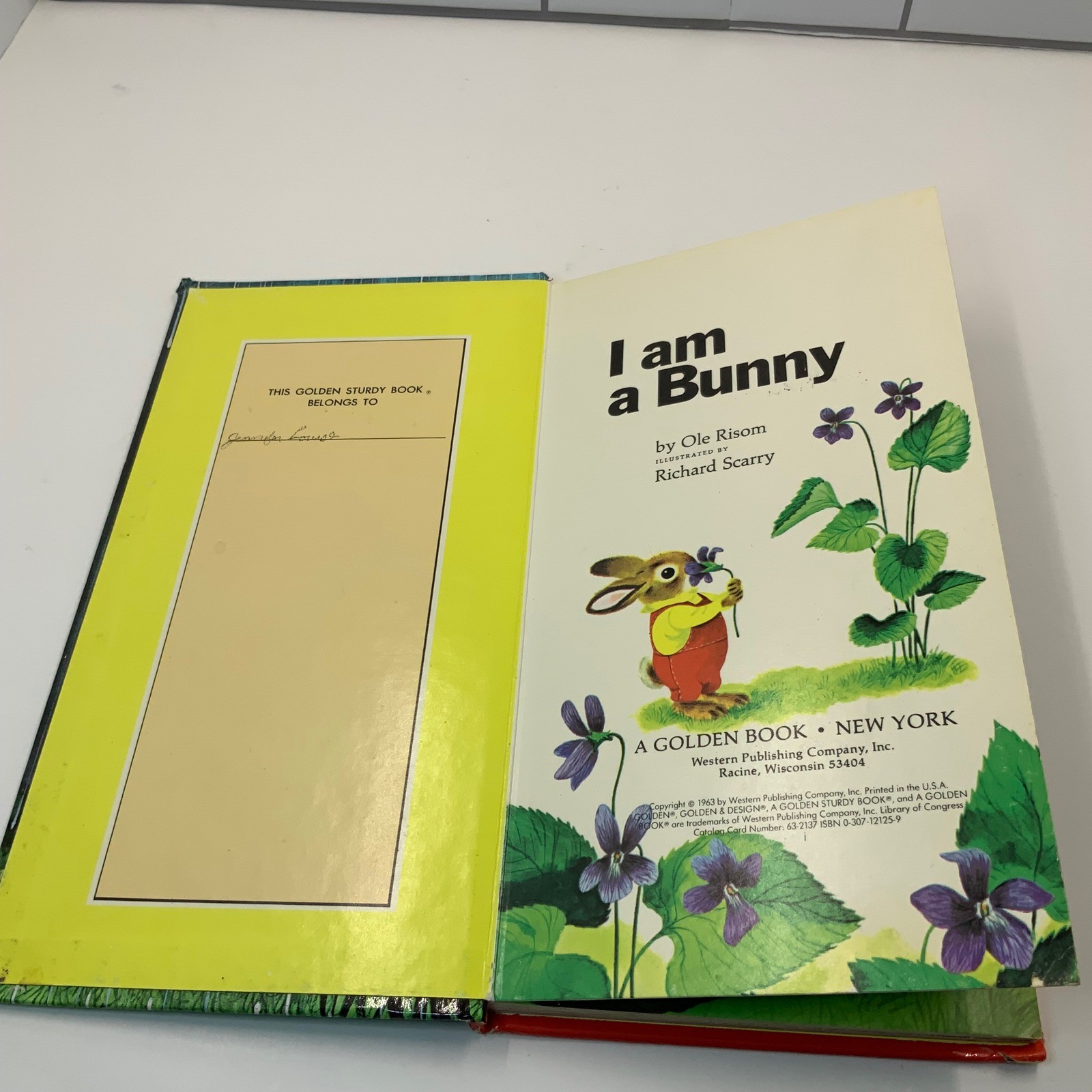 I Am a Bunny Richard Scarry Ole Risom Golden Sturdy Book Vintage Board Book 1963