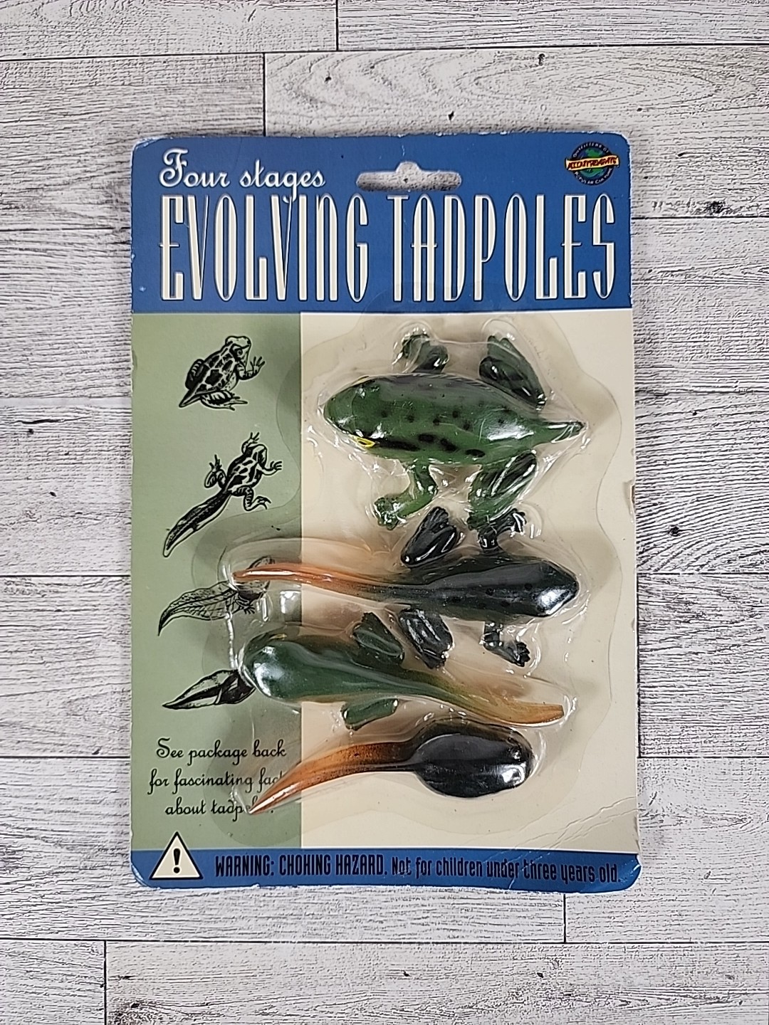 Vintage Accoutrements Evolving Tadpoles 4 Stages 1995 Nature Fish Outdoors