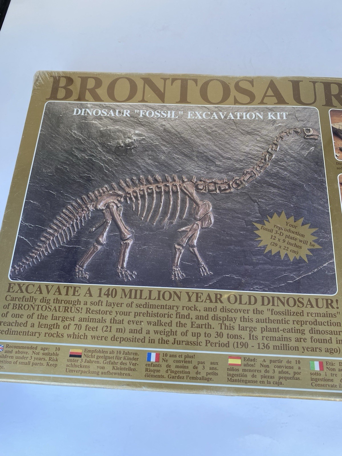 Dinosaur Excavation Kit Expedition Brontosaurus Skeleton Fossil Restoration 832