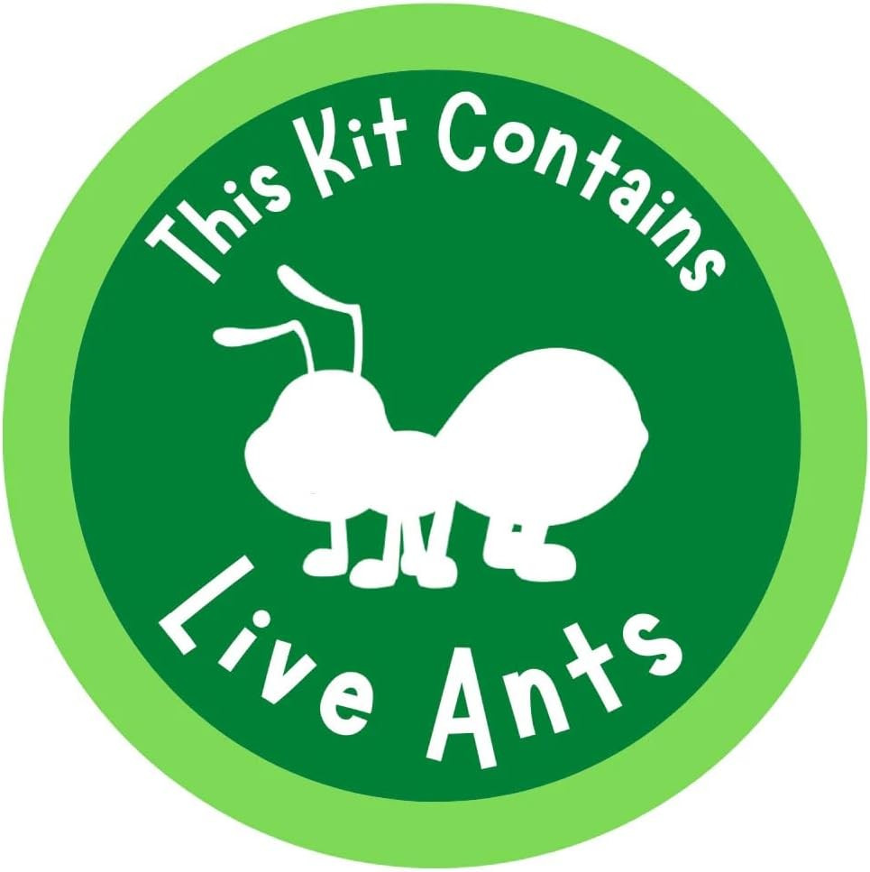 50 Live Western Harvester Ants – Grown in the USA – Includes Ant Life Cycle Stag
