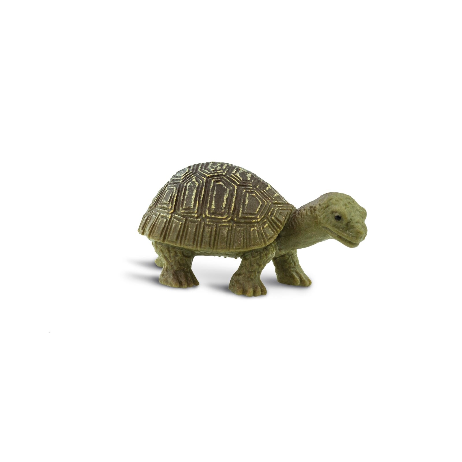 SAFARI LTD TORTOISES SET OF 24 GOOD LUCK MINIS! #100173! TINY 1″ LONG