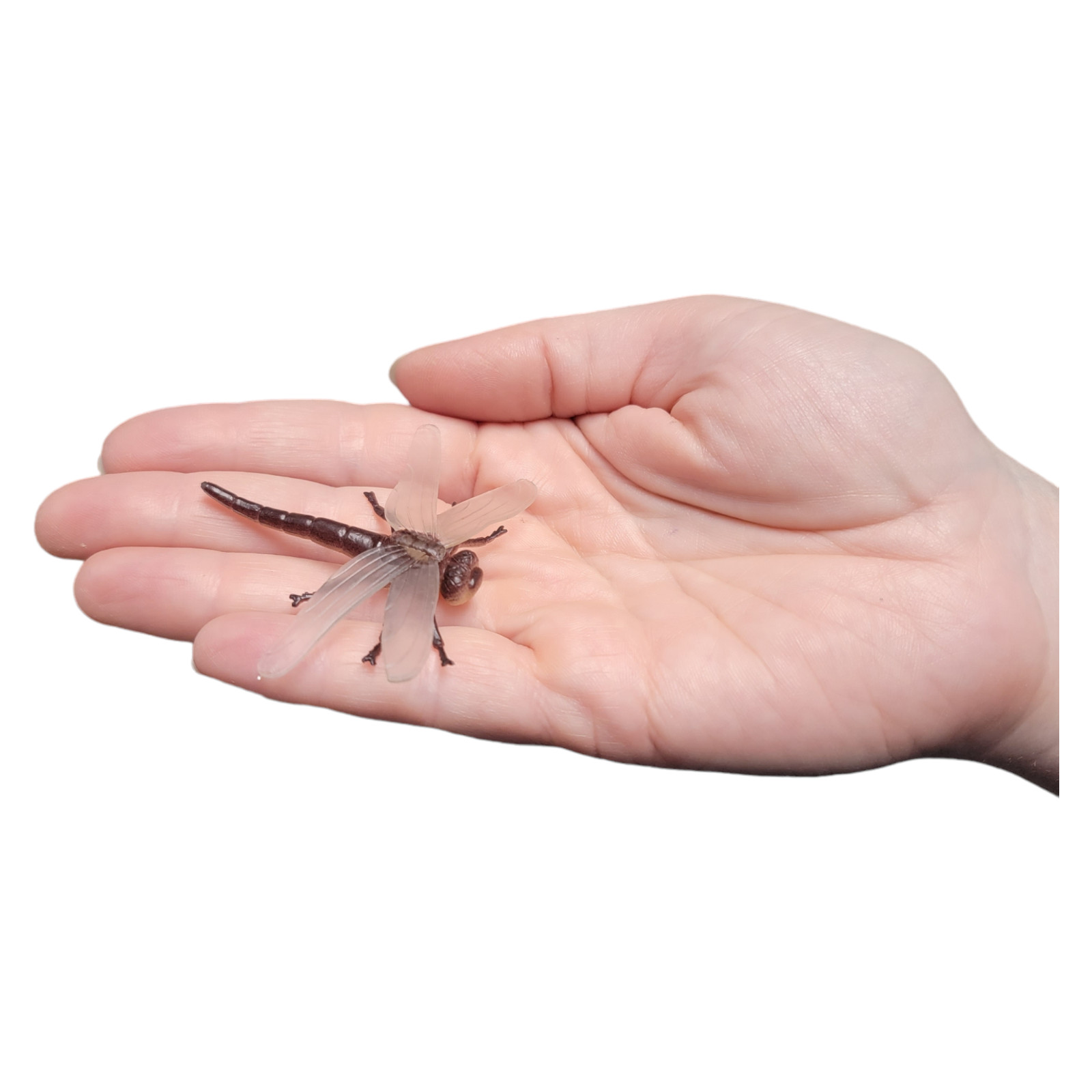 Large 2″-3″ Insect Set (12 Pack) Plastic. 12 Realistic Looking Mini. Lady Bug