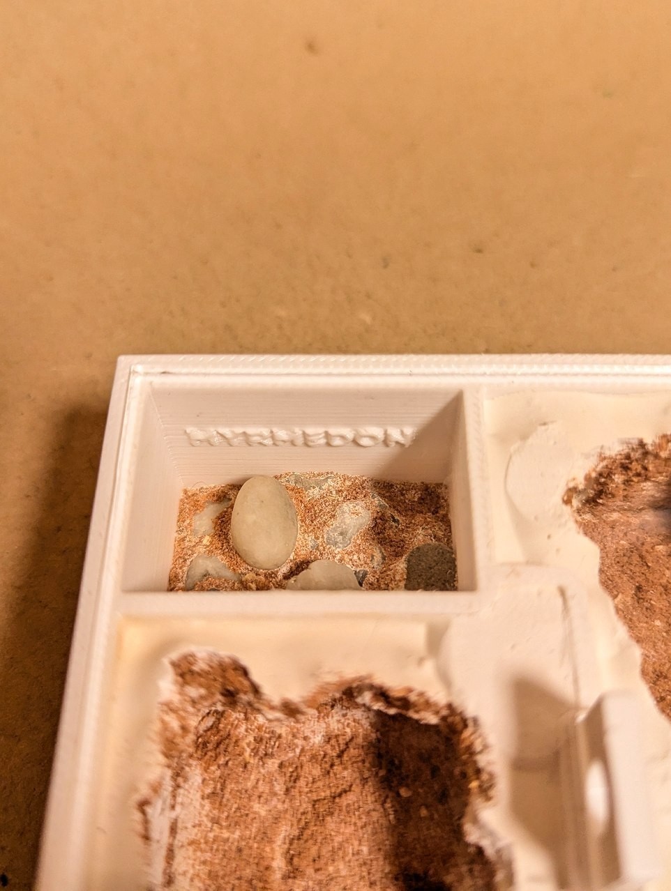 Modular Ant Farm Formicarium 9×9 cm – Light Beige Sand & Standard Plaster