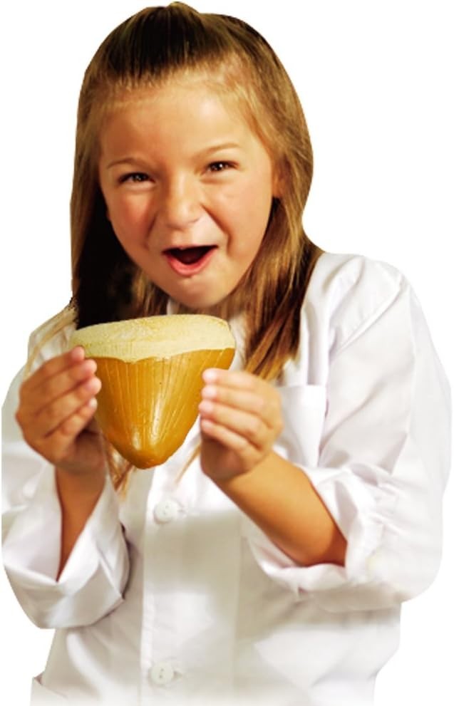 Discover with Dr. Cool Shark Tooth Dig Kit – Dig Up 3 Real Shark Teeth Fossils!