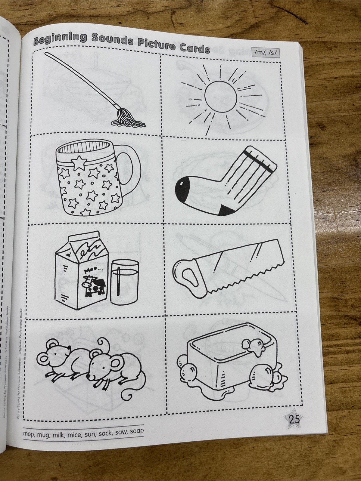 Picture Sorting For Phonemic Awareness, Grades Pre-K/K Scholastic Book