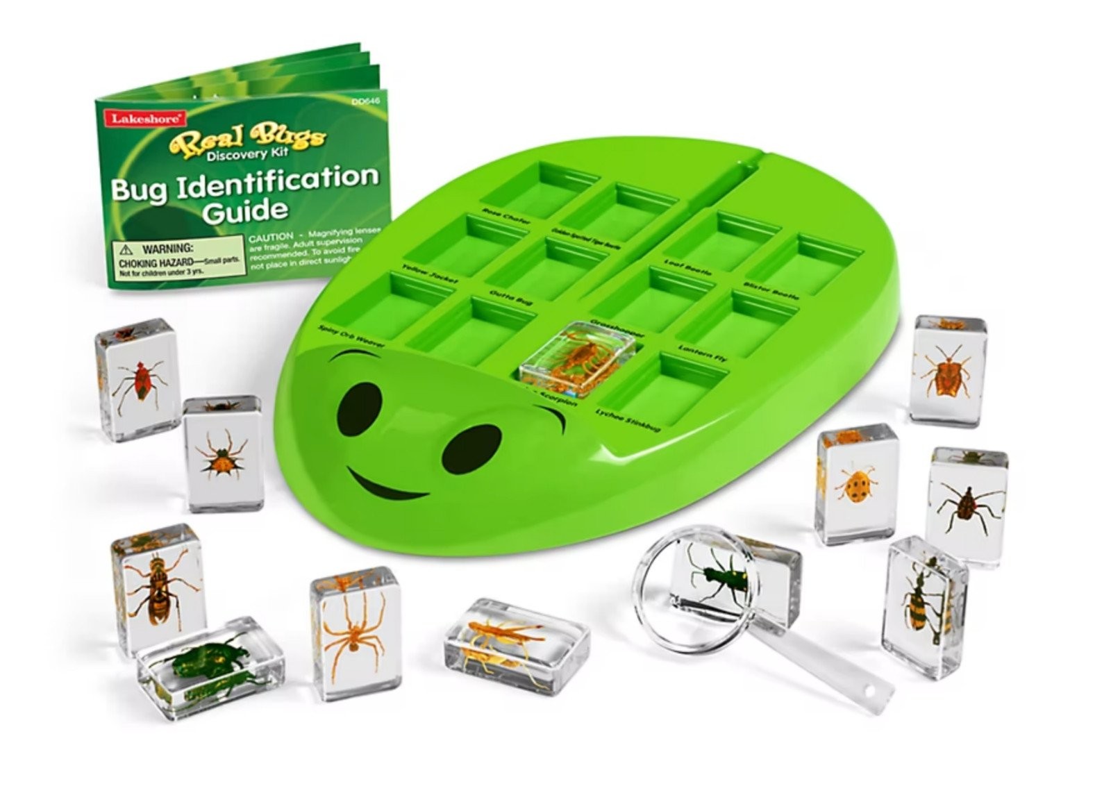 Lakeshore Learning Real Bugs Discovery Kit – 12 Actual Insect Specimens