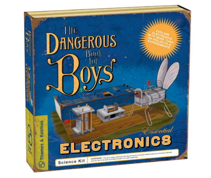 Thames & Kosmos 600002 The Dangerous Book for Boys Essential Electronics