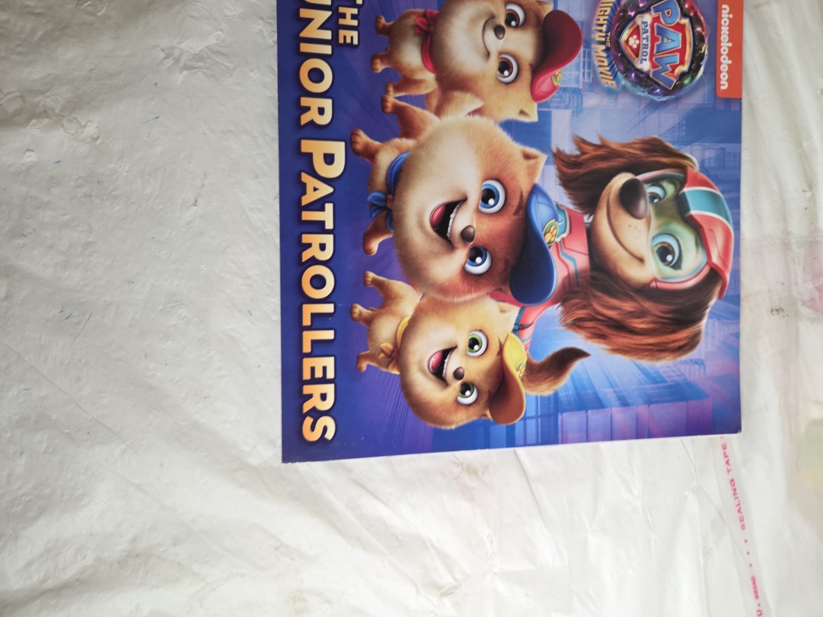 Kids Book Lot Paw Patrol Care Bears ABC Learning Early Readers Homeschool Bundle