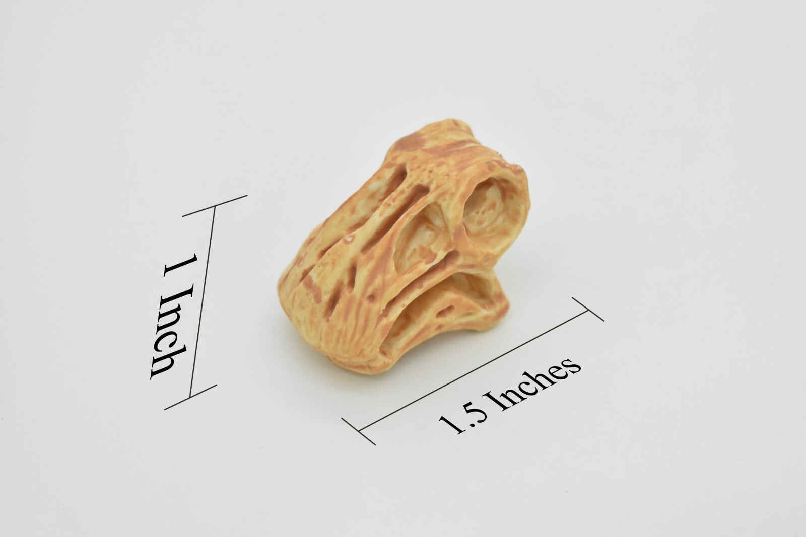 Nigersaurus, Dinosaur Skull Fossil, Educational, Realistic Rubber Toy Model 2″