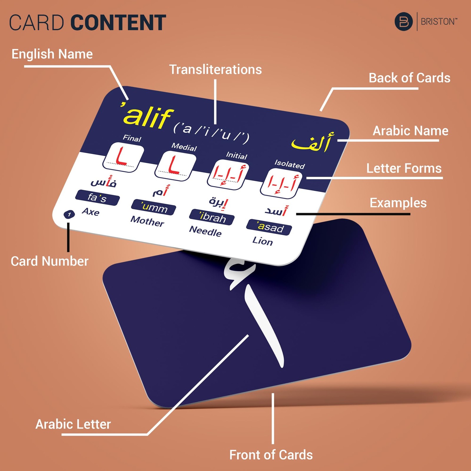 Briston Arabic Standard Flash Card Size (3.5 x 2.5 Inches), Multi-color