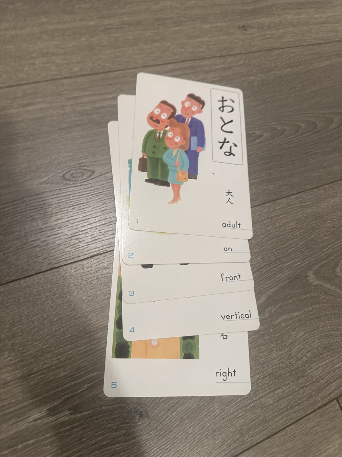 Kumon Opposite Words Card educational set for toddlers Japan