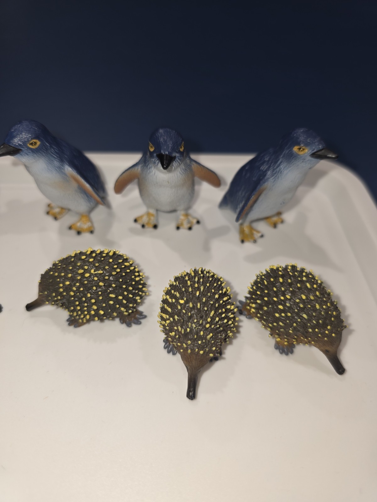 Australia Animal Toy Figures Penguin Wombat Echidna Platypus Science Nature