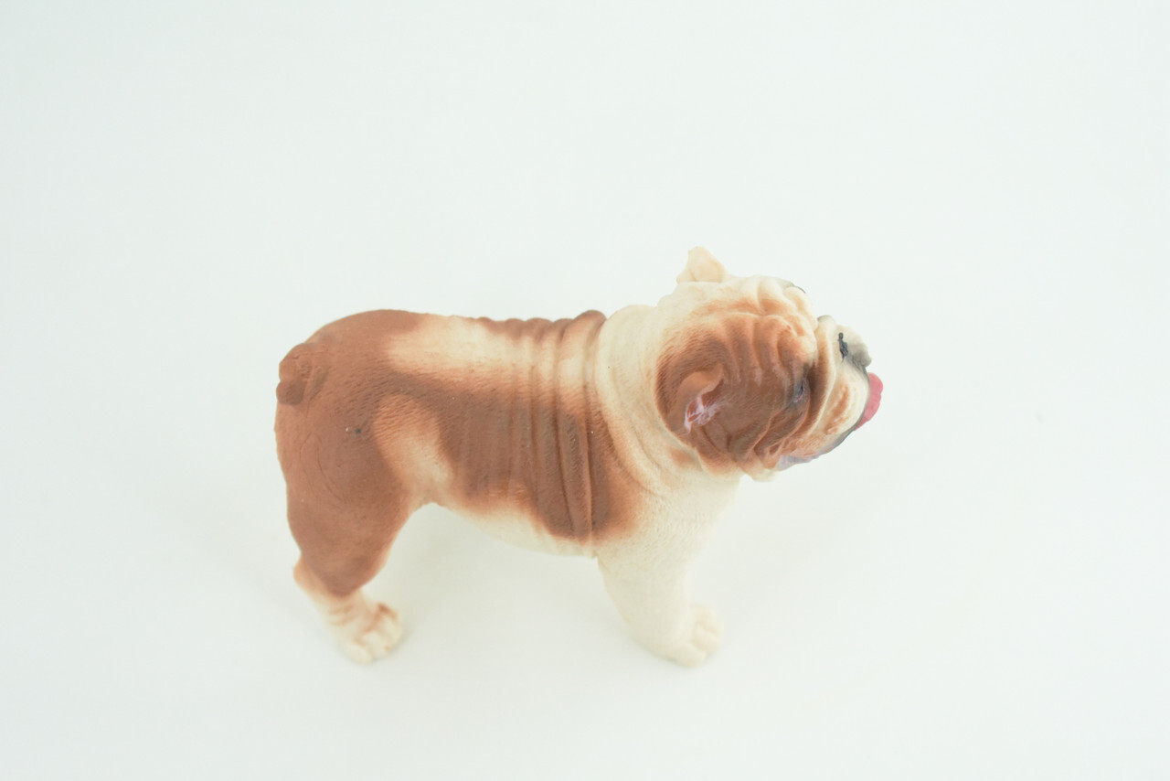 English Bulldog Toy, Realistic Hand Painted Rubber Model, 5 Inches CH844 BB197