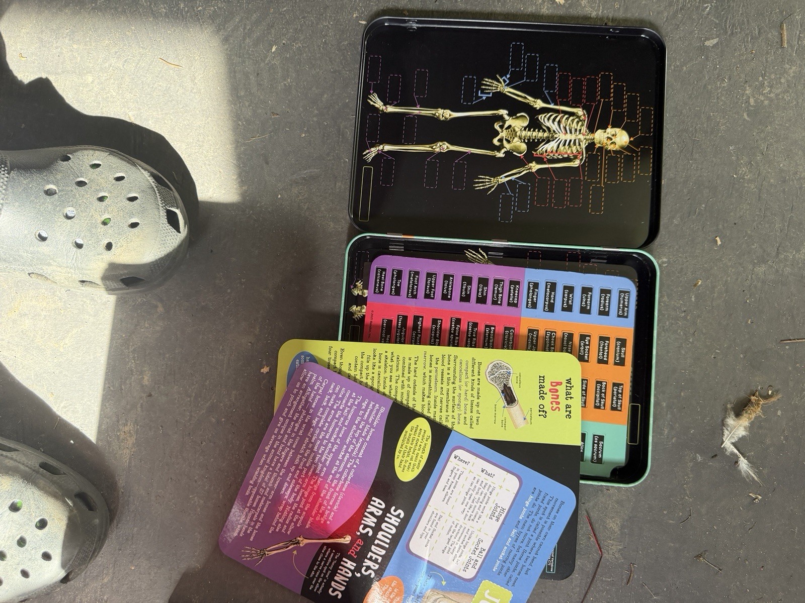 Bendon STEM Magnetic Learning Activity Human Skeleton Educational Tin Set
